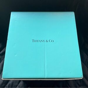 Tiffany & Co. Large EMPTY Box